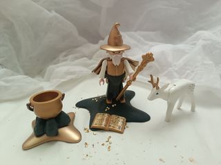 Mago exclusivo playmobil 