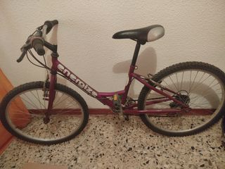 Bicicleta 24 Morada