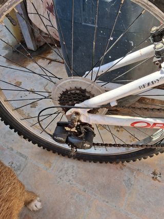 Bicicleta Orbea MY24 Infantil