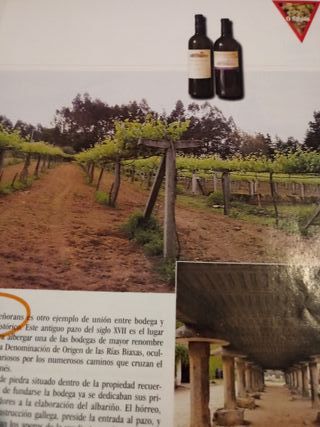 Vendo dos libros por sólo 1 euro.