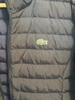 Chaqueta de Plumas Lacoste