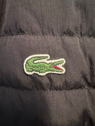 Chaqueta de Plumas Lacoste