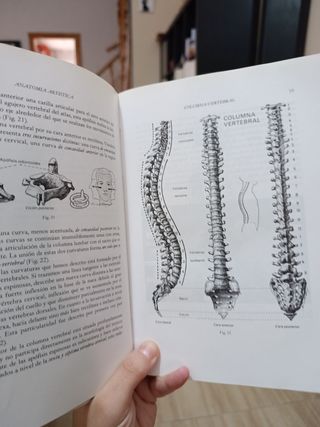 Anatomía artística del hombre de Arnold Moreaux