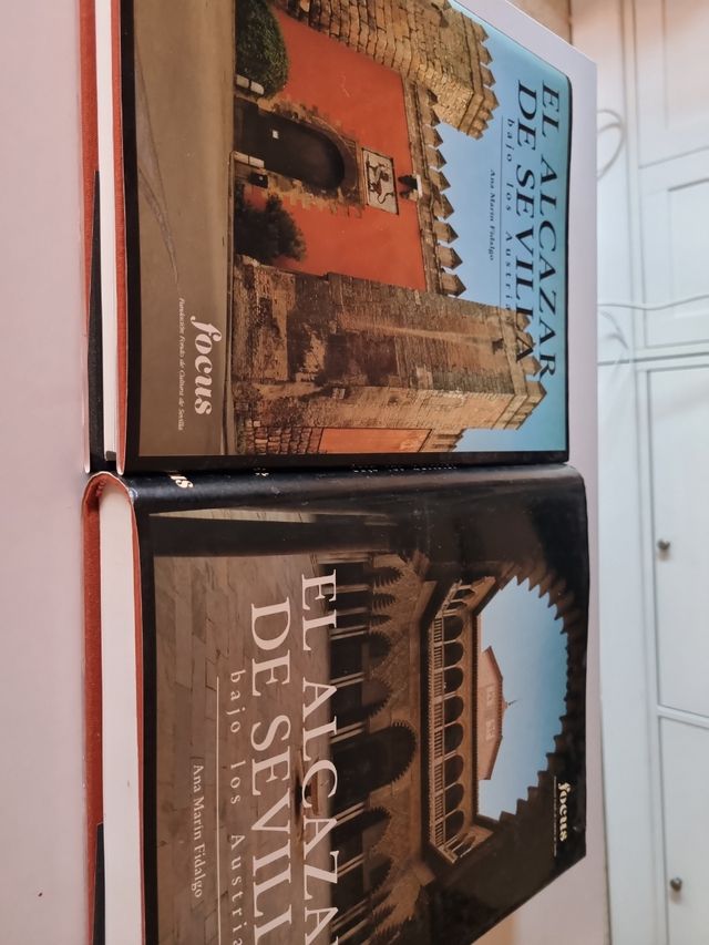 El Alcazar de Sevilla 
Bajo los Austrias.