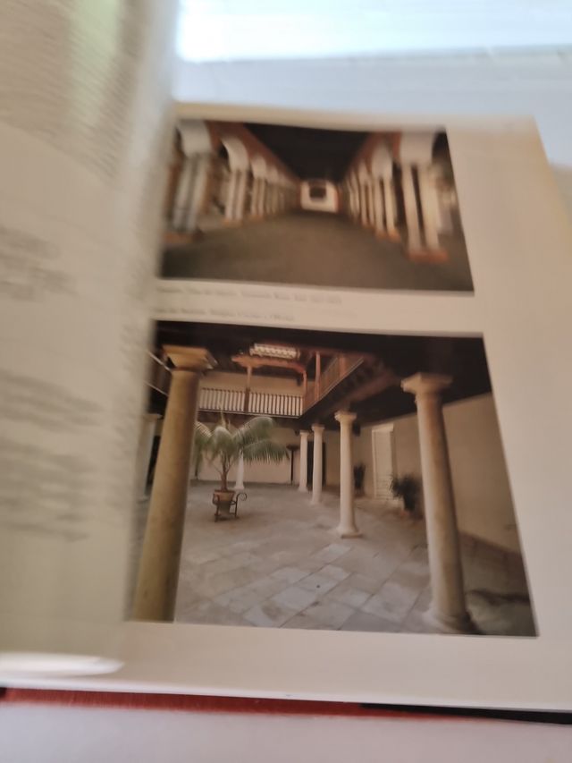 El Alcazar de Sevilla 
Bajo los Austrias.