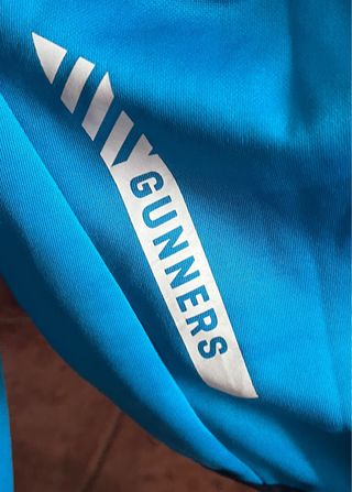 Sudadera Puma Arsenal FC Azul/Turquesa