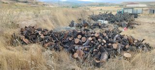 Leña de olivo y almendro