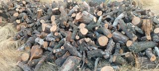 Leña de olivo y almendro