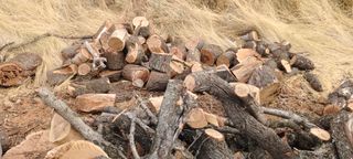 Leña de olivo y almendro seca