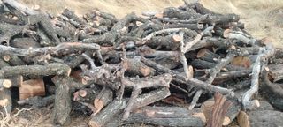 Leña de olivo y almendro seca