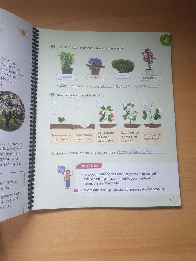 CIENCIAS DE LA NATURALEZA 2 PRIMARIA CONTRUYEND...