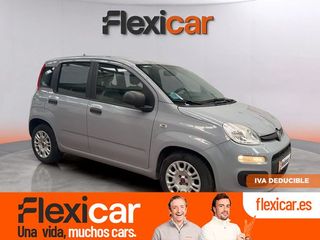 Fiat Panda Panda Hybrid 1.0 Gse 51kw (70CV)
