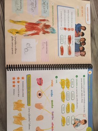 CIENCIAS DA NATUREZA 1 PRIMARIA CONSTUINDO MUNDOS