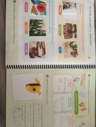 CIENCIAS DA NATUREZA 1 PRIMARIA CONSTUINDO MUNDOS