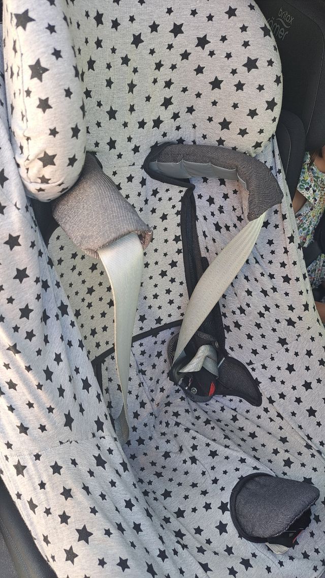 Silla de coche Bebé Confort con Isofix