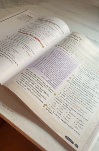 Lengua Castellana y Literatura 2º ESO. Libro de...