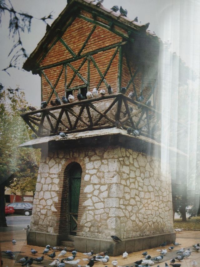 Cuadro Palomar de Palencia