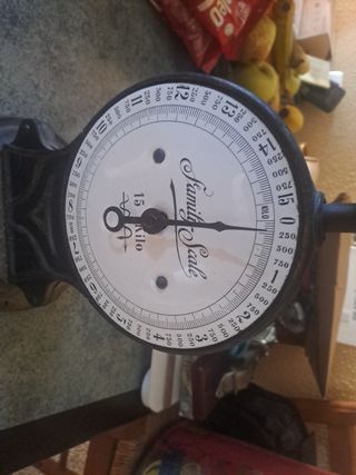 Báscula Family Scale 15 Kilo