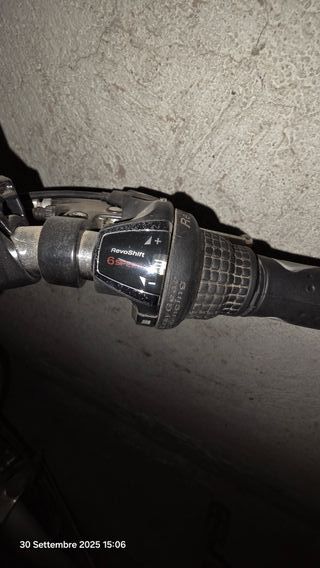 Bici elettrica pedalata assistita