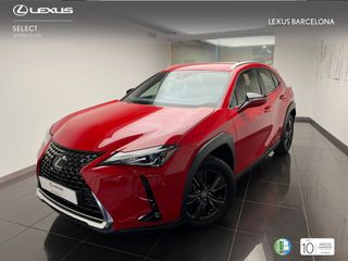 Lexus UX250h BUSINESS 2021 REF 8432