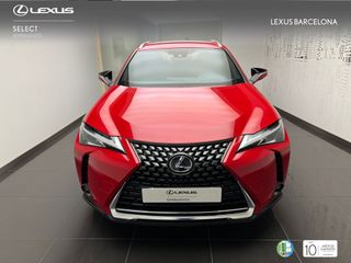 Lexus UX250h BUSINESS 2021 REF 8432