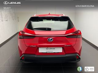 Lexus UX250h BUSINESS 2021 REF 8432
