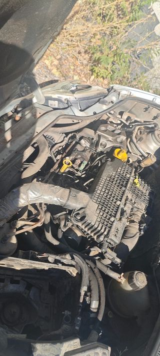 Despiece Renault Kangoo