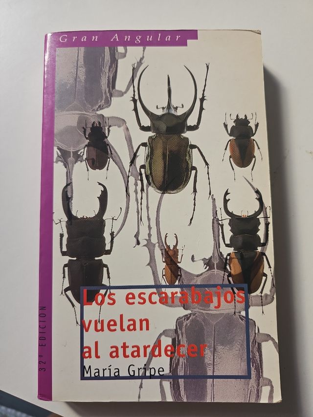 Los escarabajos vuelan al atardecer (Gran Angul...