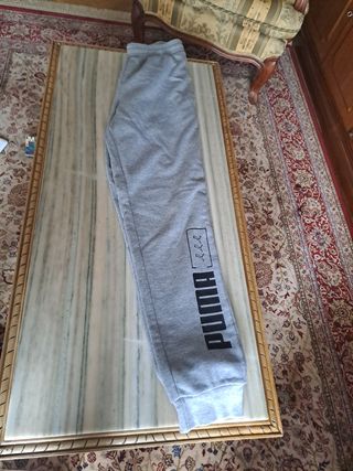 Chándal Puma gris hombre