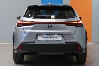 Lexus UX 2.0 250H PREMIUM 184CV