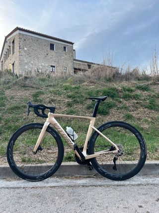 Bicicleta Vitoria Ultimate Art 2025