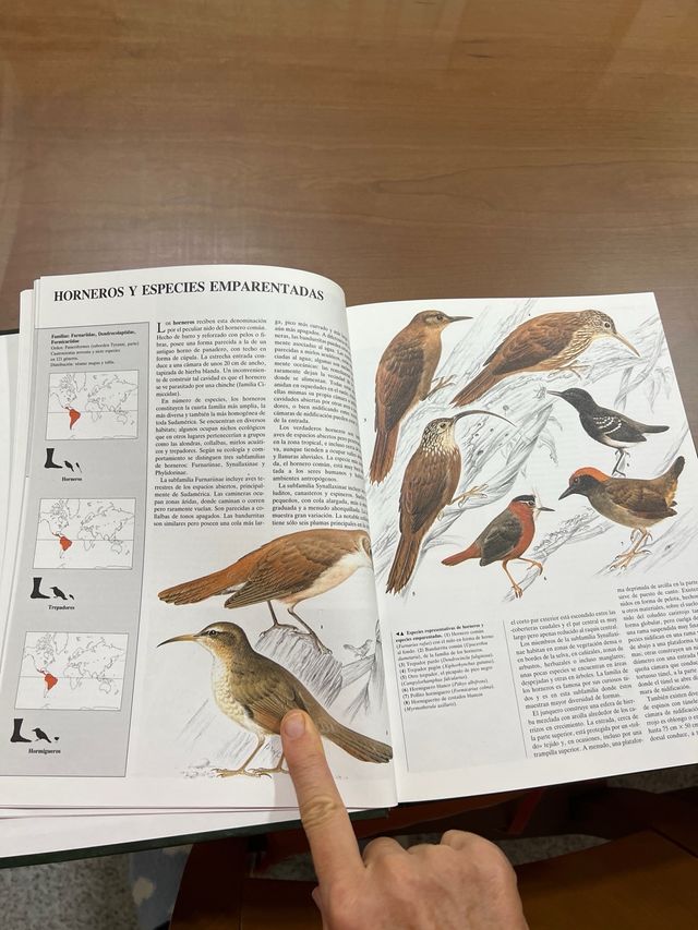 Enciclopedia del mundo animal