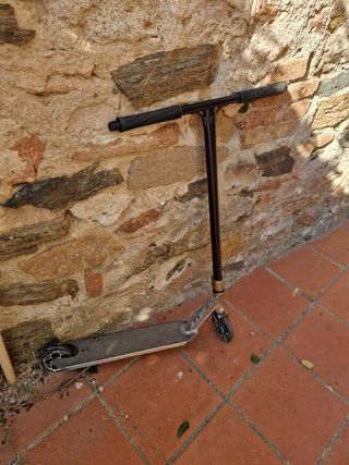 Patinete profesional trucos