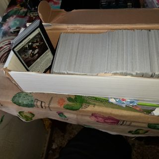 Lote 1000 Cartas Magic The Gathering