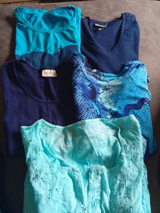 Lote 5 Camisetas Azules Mujer