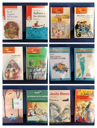 Lote libros infantiles 