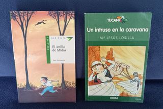 Lote libros infantiles 