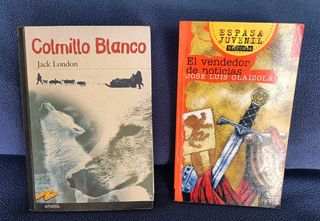 Lote libros infantiles 