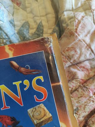 Children's First Encyclopedia