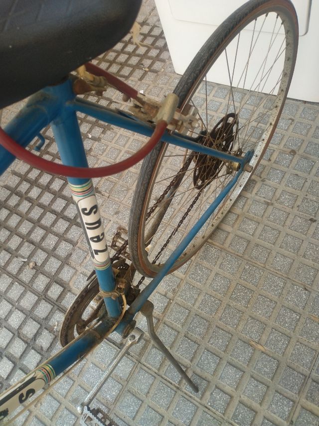 Bicicleta Clásica Zeus Azul