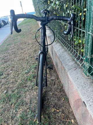 Specialized Roubaix 2020 Talla 61