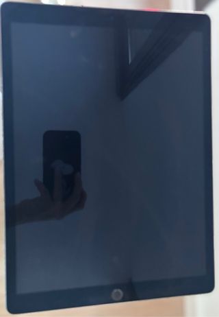 iPad Pro 12.9 Plata - Buen Estado