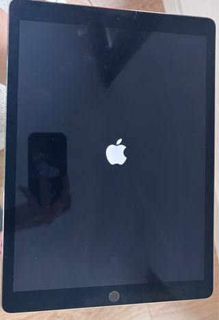 iPad Pro 12.9 Plata - Buen Estado