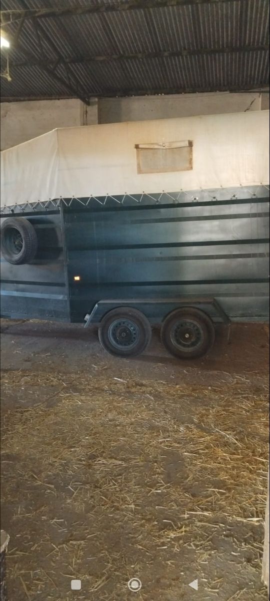 Remolque transporte animales vivos