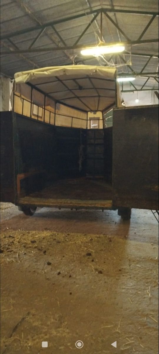 Remolque transporte animales vivos