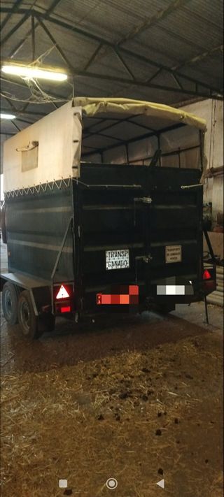 Remolque transporte animales vivos