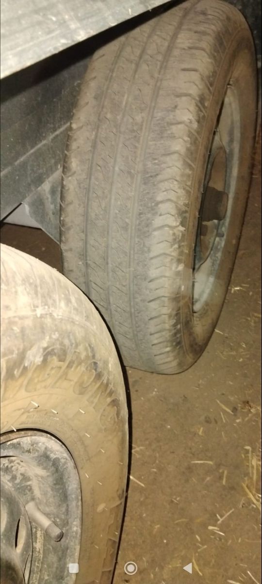 Remolque transporte animales vivos