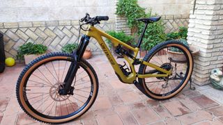 Specialized Stumpjumper Evo