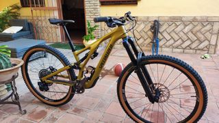 Specialized Stumpjumper Evo