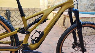 Specialized Stumpjumper Evo